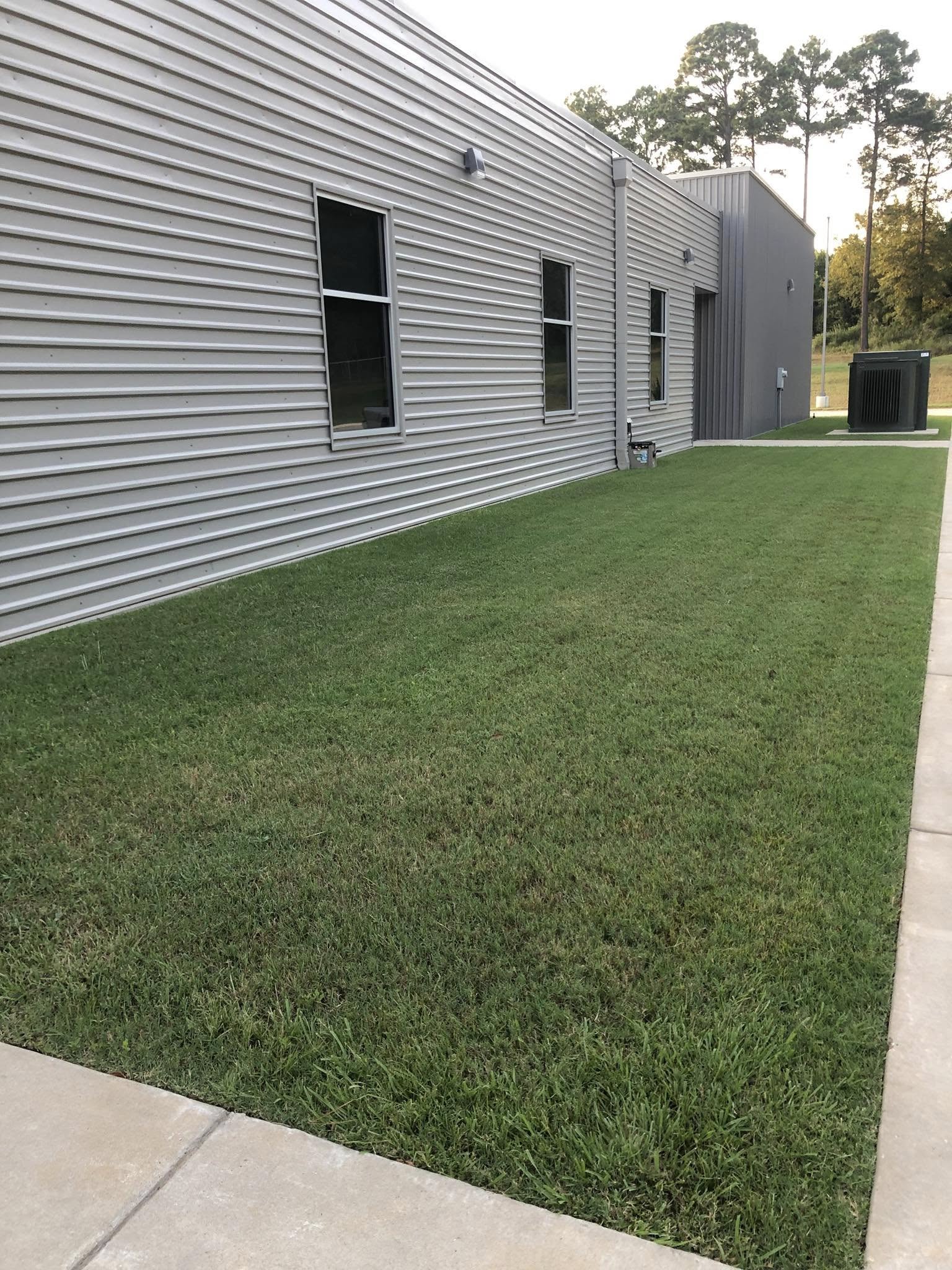 Complete Yard Transformation - Center, TX