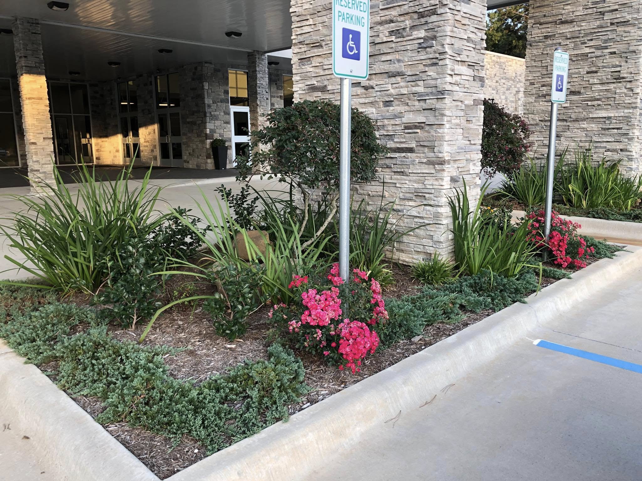 Seasonal & Leaf Cleanup service in Center, TX